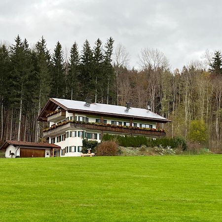 Appartement Ferienhaus Am Wald à Friesenried Extérieur photo