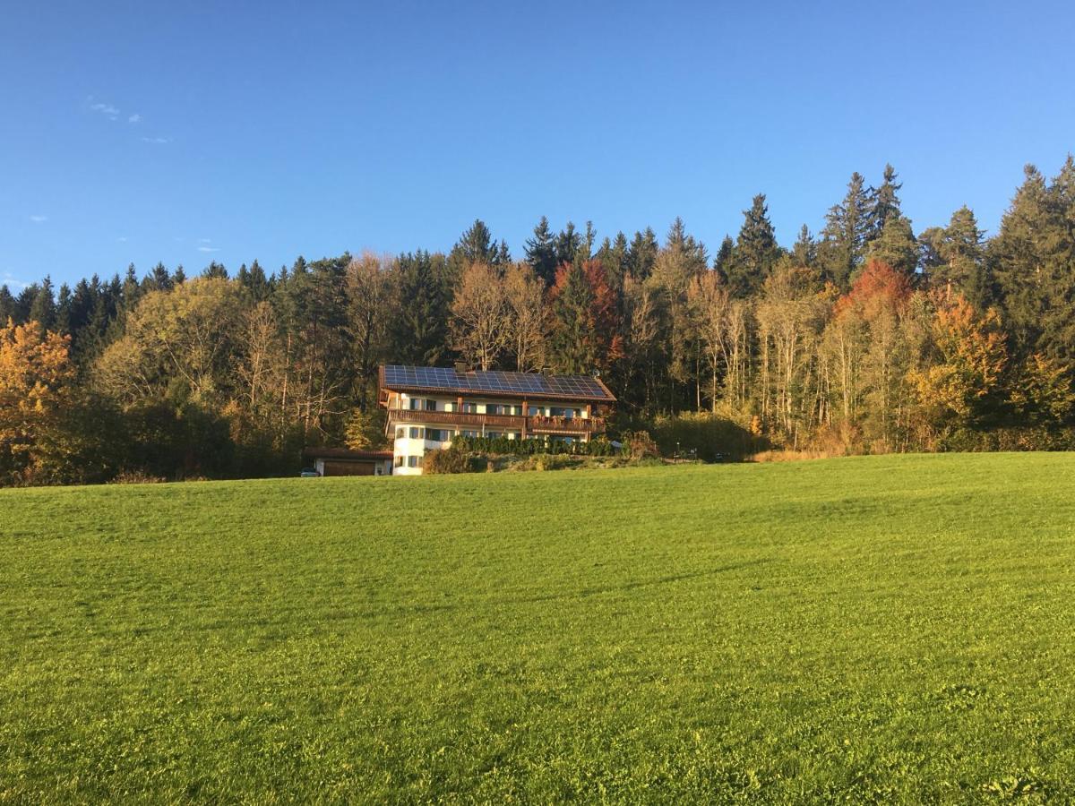 Appartement Ferienhaus Am Wald à Friesenried Extérieur photo